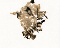 <b>Majka Dokudowicz</b><br><i>Fragmented Self (XXX)</i><br>2022<br>serigraphy on plant fiber, chine colle<br>20 cm × 20 cm