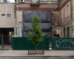 <b>Sergii Khrushchov</b><br><i>A tree on Yaroslaviv Val street</i><br>2019<br>digital photography<br>11 cm × 14 cm