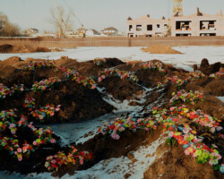 <b>Olia Koval</b><br><i>Paper flowers on the grey</i><br>2022<br>analog photography, color film<br>38 cm × 25 cm