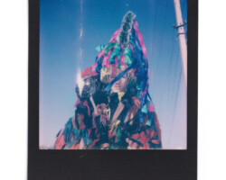 <b>Veronika Mol</b><br><i>Malanka. A Ukranian carnival</i><br>2022<br>Polaroid photography<br>12 in × 13.4 in