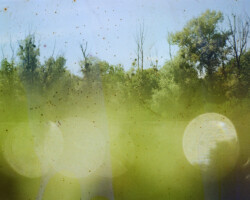 <b>Yuliana Paranko</b><br><i>Mystery swamp</i><br>2020<br>analog photography, soaked film<br>40 cm × 30 cm