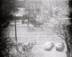 <b>Alesya Tyshchuk</b><br><i>Svema</i><br>2021<br>analog photography<br>21 cm × 30 cm