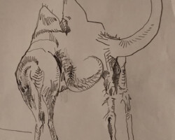 <b>Vera Bossart</b><br><i>Judea Desert</i><br>2022<br>graphite drawing<br>4 in × 5.5 in