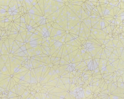 <b>Mizin Shin</b><br><i>Small World Network Model</i><br>2021<br>screenprint, laser etching<br>12 in x 12 in